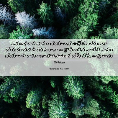 Picture 06 - లేవీకాండం 4:22 TELIRV - ఒక అధికారి పాపం - Bible Verse Picture