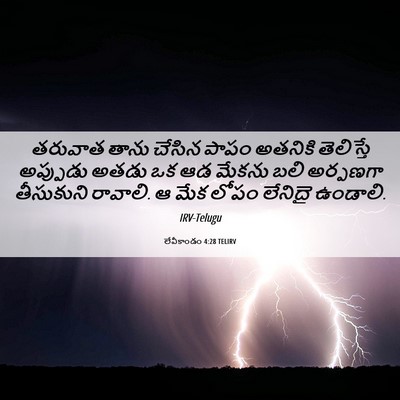 Picture 06 - లేవీకాండం 4:28 TELIRV - తరువాత తాను చేసిన - Bible Verse Picture