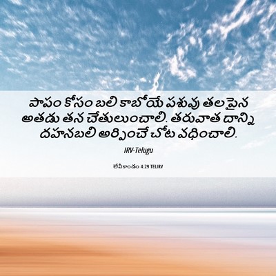 Picture 06 - లేవీకాండం 4:29 TELIRV - పాపం కోసం బలి - Bible Verse Picture