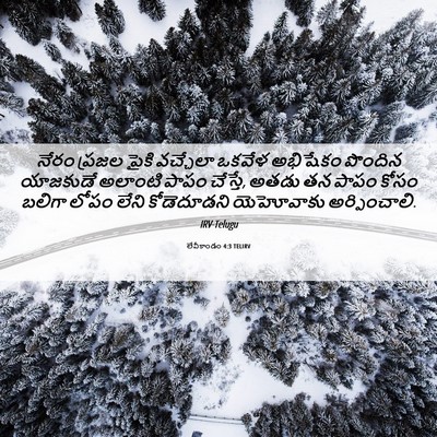 Picture 06 - లేవీకాండం 4:3 TELIRV - నేరం ప్రజల పైకి - Bible Verse Picture