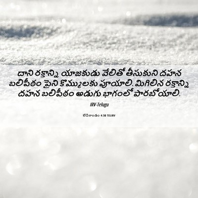Picture 06 - లేవీకాండం 4:30 TELIRV - దాని రక్తాన్ని - Bible Verse Picture