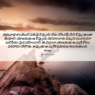 Picture 06 - లేవీకాండం 4:31 TELIRV - తరువాత శాంతిబలి - Bible Verse Picture