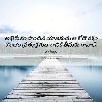 Picture 06 - లేవీకాండం 4:5 TELIRV - అభిషేకం పొందిన - Bible Verse Picture