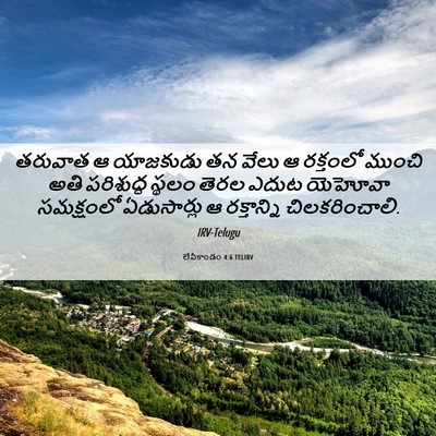 Picture 06 - లేవీకాండం 4:6 TELIRV - తరువాత ఆ యాజకుడు - Bible Verse Picture