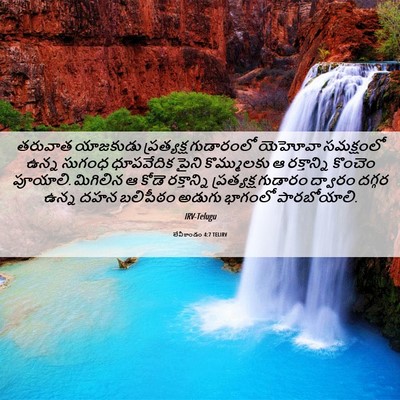 Picture 06 - లేవీకాండం 4:7 TELIRV - తరువాత యాజకుడు - Bible Verse Picture
