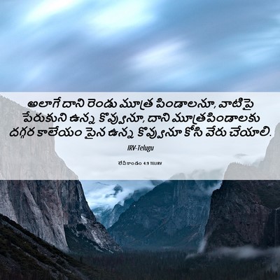 Picture 06 - లేవీకాండం 4:9 TELIRV - అలాగే దాని రెండు - Bible Verse Picture