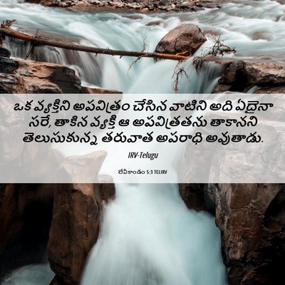 Picture 06 - లేవీకాండం 5:3 TELIRV - ఒక వ్యక్తిని - Bible Verse Picture