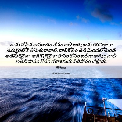 Picture 06 - లేవీకాండం 5:6 TELIRV - తాను చేసిన అపరాధం - Bible Verse Picture