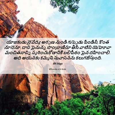 Picture 06 - లేవీకాండం 6:15 TELIRV - యాజకుడు నైవేద్య - Bible Verse Picture