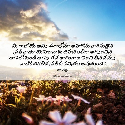 Picture 06 - లేవీకాండం 6:18 TELIRV - మీ రాబోయే అన్ని - Bible Verse Picture