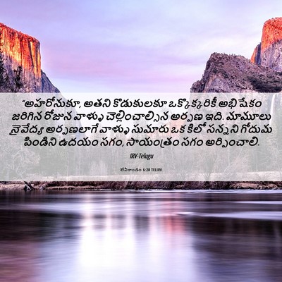 Picture 06 - లేవీకాండం 6:20 TELIRV - “అహరోనుకూ, అతని - Bible Verse Picture