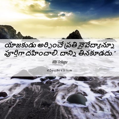 Picture 06 - లేవీకాండం 6:23 TELIRV - యాజకుడు అర్పించే - Bible Verse Picture