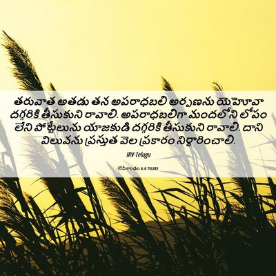 Picture 06 - లేవీకాండం 6:6 TELIRV - తరువాత అతడు తన - Bible Verse Picture