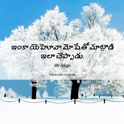 Picture 06 - లేవీకాండం 6:8 TELIRV - ఇంకా యెహోవా - Bible Verse Picture