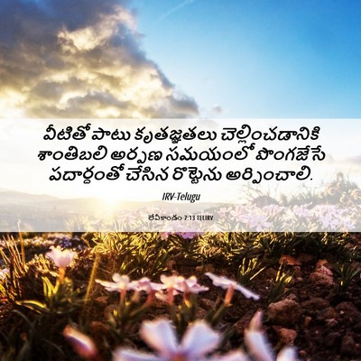 Picture 06 - లేవీకాండం 7:13 TELIRV - వీటితో పాటు - Bible Verse Picture