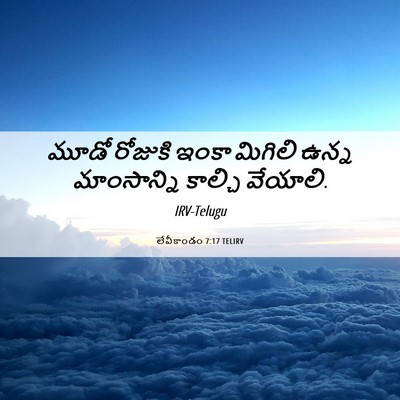 Picture 06 - లేవీకాండం 7:17 TELIRV - మూడో రోజుకి ఇంకా - Bible Verse Picture