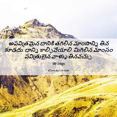 Picture 06 - లేవీకాండం 7:19 TELIRV - అపవిత్రమైన దానికి - Bible Verse Picture