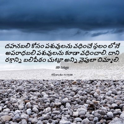 Picture 06 - లేవీకాండం 7:2 TELIRV - దహనబలి కోసం - Bible Verse Picture