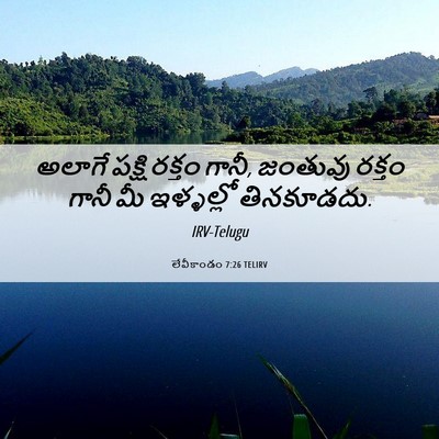 Picture 06 - లేవీకాండం 7:26 TELIRV - అలాగే పక్షి రక్తం - Bible Verse Picture
