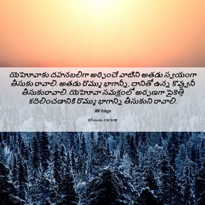 Picture 06 - లేవీకాండం 7:30 TELIRV - యెహోవాకు దహనబలిగా - Bible Verse Picture