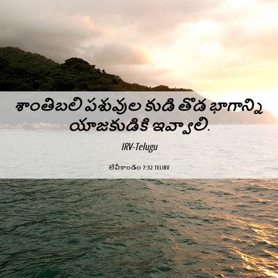 Picture 06 - లేవీకాండం 7:32 TELIRV - శాంతిబలి పశువుల - Bible Verse Picture