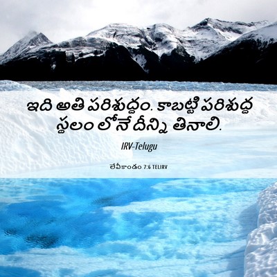 Picture 06 - లేవీకాండం 7:6 TELIRV - ఇది అతి పరిశుద్ధం. - Bible Verse Picture