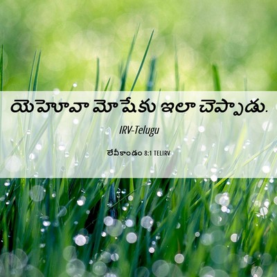Picture 06 - లేవీకాండం 8:1 TELIRV - యెహోవా మోషేకు ఇలా - Bible Verse Picture