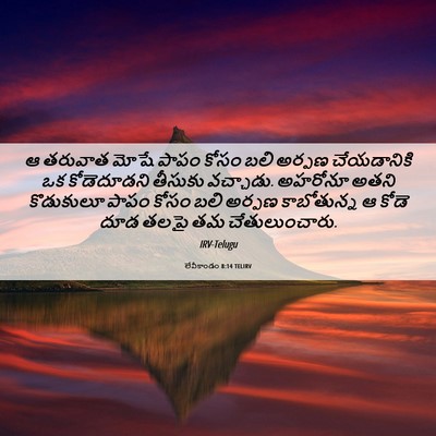 Picture 06 - లేవీకాండం 8:14 TELIRV - ఆ తరువాత మోషే పాపం - Bible Verse Picture