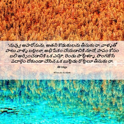 Picture 06 - లేవీకాండం 8:2 TELIRV - “నువ్వు అహరోనును, - Bible Verse Picture