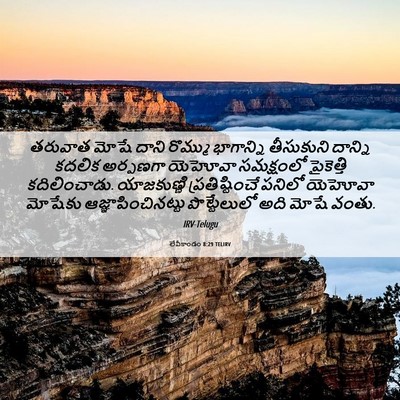 Picture 06 - లేవీకాండం 8:29 TELIRV - తరువాత మోషే దాని - Bible Verse Picture
