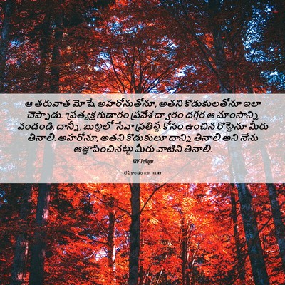 Picture 06 - లేవీకాండం 8:31 TELIRV - ఆ తరువాత మోషే - Bible Verse Picture