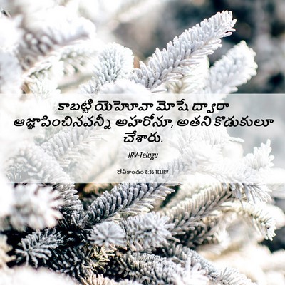 Picture 06 - లేవీకాండం 8:36 TELIRV - కాబట్టి యెహోవా - Bible Verse Picture
