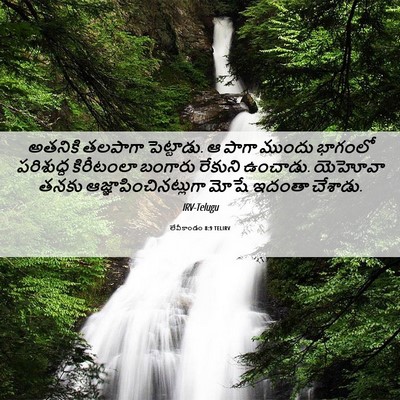 Picture 06 - లేవీకాండం 8:9 TELIRV - అతనికి తలపాగా - Bible Verse Picture