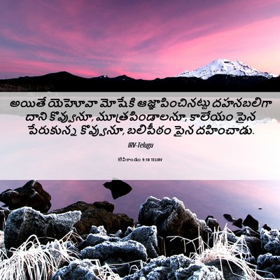 Picture 06 - లేవీకాండం 9:10 TELIRV - అయితే యెహోవా - Bible Verse Picture