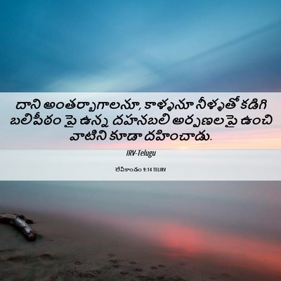 Picture 06 - లేవీకాండం 9:14 TELIRV - దాని - Bible Verse Picture
