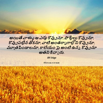 Picture 06 - లేవీకాండం 9:19 TELIRV - అయితే వాళ్ళు ఆ - Bible Verse Picture