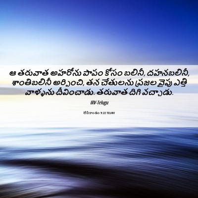 Picture 06 - లేవీకాండం 9:22 TELIRV - ఆ తరువాత అహరోను - Bible Verse Picture