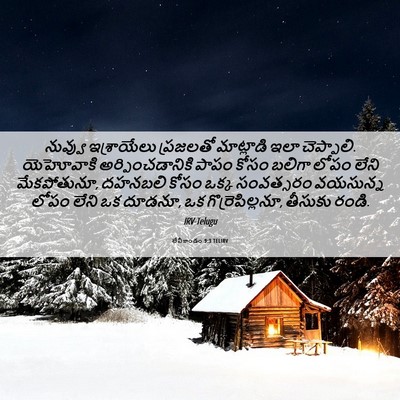 Picture 06 - లేవీకాండం 9:3 TELIRV - నువ్వు ఇశ్రాయేలు - Bible Verse Picture