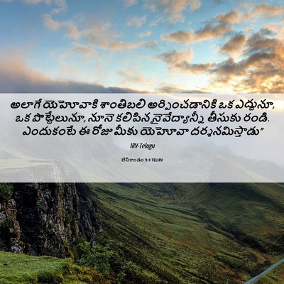 Picture 06 - లేవీకాండం 9:4 TELIRV - అలాగే యెహోవాకి - Bible Verse Picture