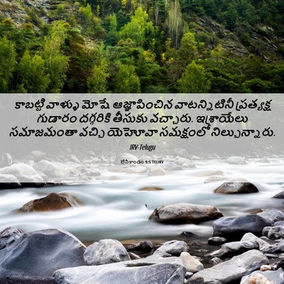 Picture 06 - లేవీకాండం 9:5 TELIRV - కాబట్టి వాళ్ళు - Bible Verse Picture