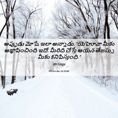 Picture 06 - లేవీకాండం 9:6 TELIRV - అప్పుడు మోషే ఇలా - Bible Verse Picture