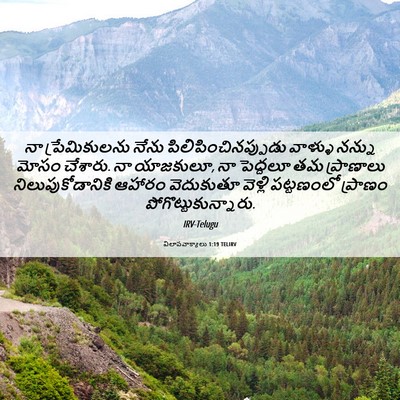 Picture 06 - విలాపవాక్యాలు 1:19 TELIRV - నా ప్రేమికులను - Bible Verse Picture