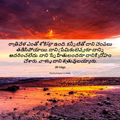 Picture 06 - విలాపవాక్యాలు 1:2 TELIRV - రాత్రివేళ ఎంతో - Bible Verse Picture