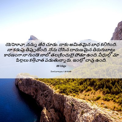 Picture 06 - విలాపవాక్యాలు 1:20 TELIRV - యెహోవా, నన్ను తేరి - Bible Verse Picture