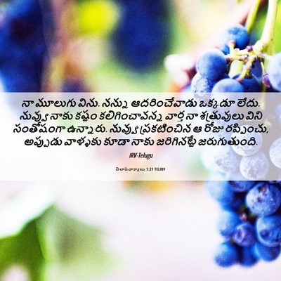 Picture 06 - విలాపవాక్యాలు 1:21 TELIRV - నా మూలుగు విను. - Bible Verse Picture