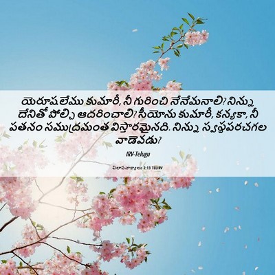 Picture 06 - విలాపవాక్యాలు 2:13 TELIRV - యెరూషలేము కుమారీ, - Bible Verse Picture