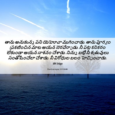 Picture 06 - విలాపవాక్యాలు 2:17 TELIRV - తాను అనుకున్న పని - Bible Verse Picture