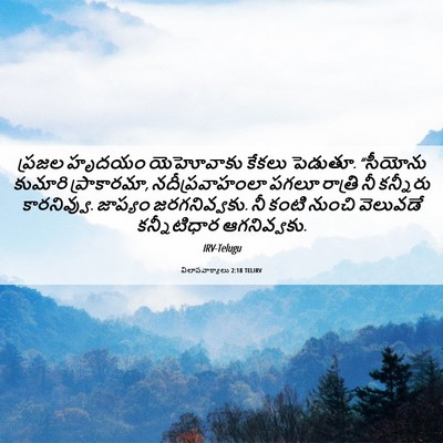 Picture 06 - విలాపవాక్యాలు 2:18 TELIRV - ప్రజల హృదయం - Bible Verse Picture
