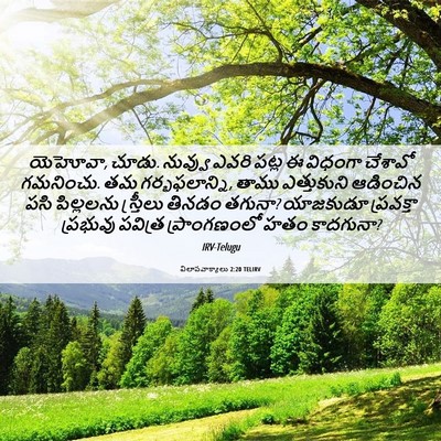 Picture 06 - విలాపవాక్యాలు 2:20 TELIRV - యెహోవా, చూడు. - Bible Verse Picture