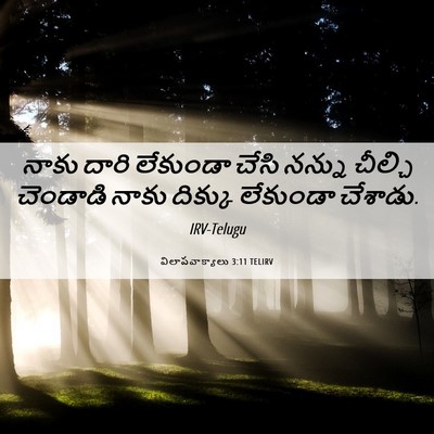 Picture 06 - విలాపవాక్యాలు 3:11 TELIRV - నాకు దారి లేకుండా - Bible Verse Picture